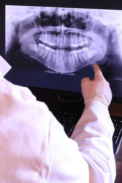 Best Emergency X-Rays and Diagnostics in Sea Bright, NJ
